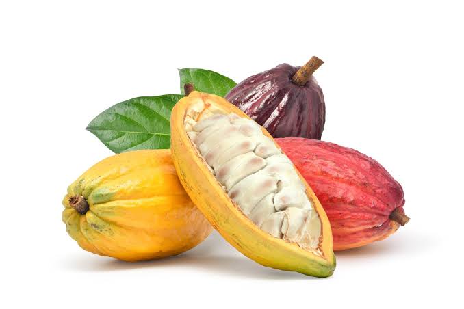 Cocoa3